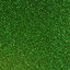 Siser Glitter Grass 12" x 12" - Heat Transfer Haus