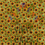 Sunflowers Green Background Pattern Vinyl 12" x 12" - The Vinyl Haus