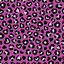 Valentine Cheetah Pattern Vinyl 12" x 12 - The Vinyl Haus