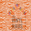 Orange Tiger Pattern Vinyl 12" x 12" - The Vinyl Haus