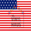 USA Flag Pattern Vinyl 12" x 12" - The Vinyl Haus