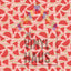 Watermelon Pattern Vinyl 12" x 12" - The Vinyl Haus