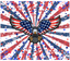 Sublimation Tumbler Wrap -4th of July Burst With Eagle - The Vinyl Haus