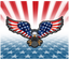 Sublimation Tumbler Wrap - 4th of July Flag Burst With Eagle - The Vinyl Haus