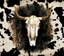 Sublimation Tumbler Wrap - Western Cow Skull - The Vinyl Haus