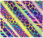 Sublimation Tumbler Wrap - Neon Animal Print Stripes - The Vinyl Haus