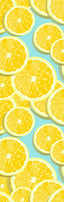 Lemon Slices Pen Wrap 1.5 x 4.75 - The Vinyl Haus