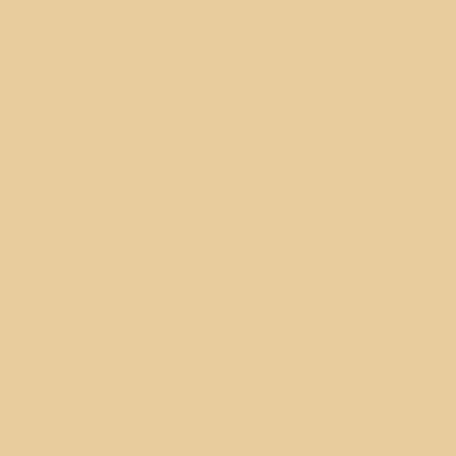 Siser EasyWeed Cream 12" by the Yard - The Vinyl Haus