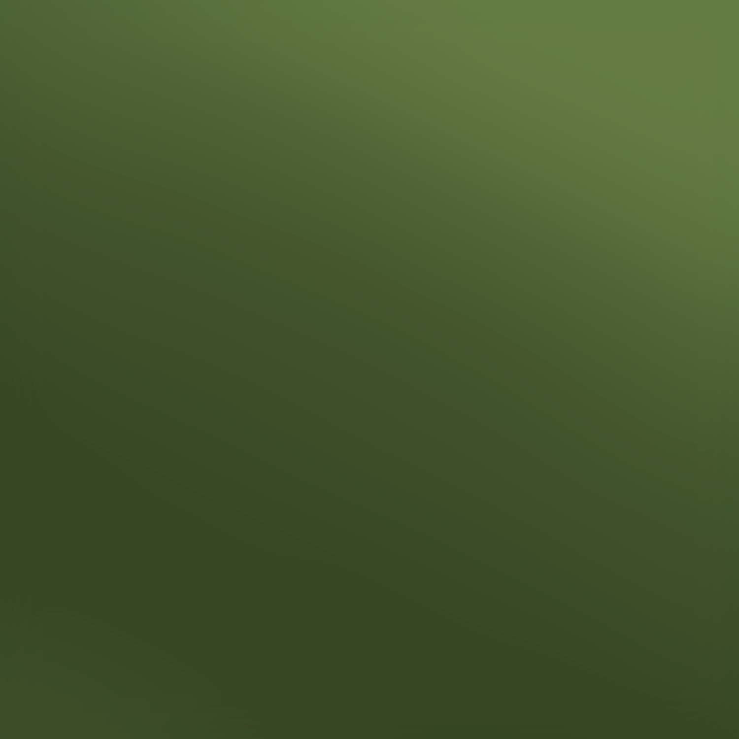 Siser EasyWeed Electric Olive 15" x 12" - Heat Transfer Haus