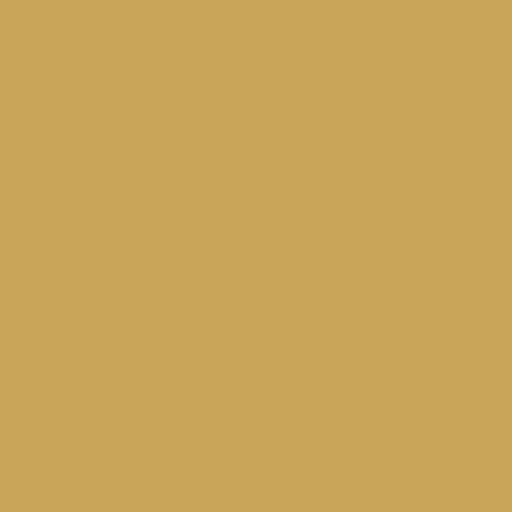 Siser EasyWeed Gold 12" by the Yard - The Vinyl Haus