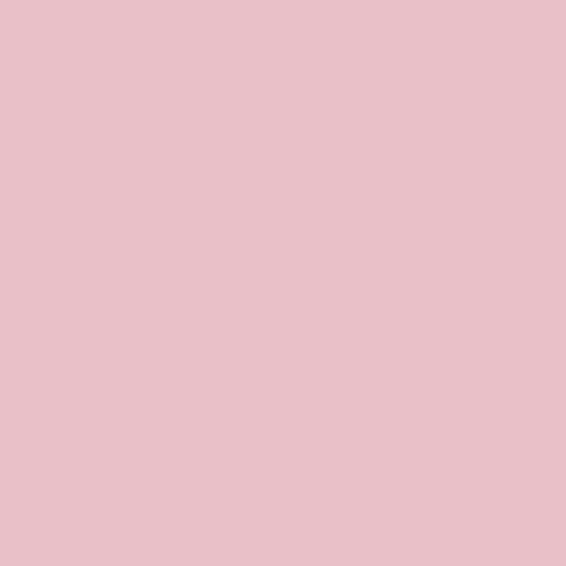 Siser EasyWeed Light Pink 12" by the Yard - The Vinyl Haus