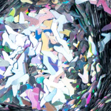 Stilettos Holographic Shape Glitter - 1oz - The Vinyl Haus