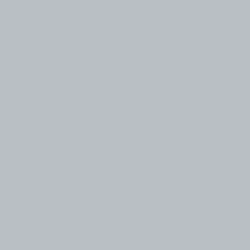 ORACAL 651 Silver Grey (Metallic) 12" x 12" - Heat Transfer Haus