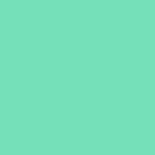 ORACAL 651 Mint 12" x 12" - Heat Transfer Haus