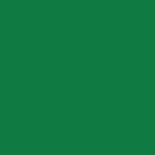 ORACAL 651 Grass Green 12" x 12" - Heat Transfer Haus