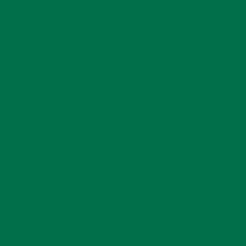 Siser EasyWeed Green 12" x 12" - Heat Transfer Haus