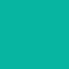 ORACAL 651 Turquoise 12" x 12" - Heat Transfer Haus