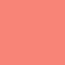 ORACAL 651 Coral 12" x 12" - Heat Transfer Haus