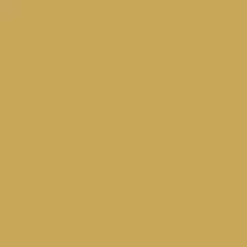 Siser EasyWeed Gold 12" x 12" - Heat Transfer Haus