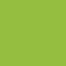 ORACAL 651 Lime Tree Green 12" x 12" - Heat Transfer Haus