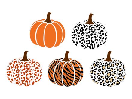 Adhesive Decals - Animal Print Pumpkins - The Vinyl Haus