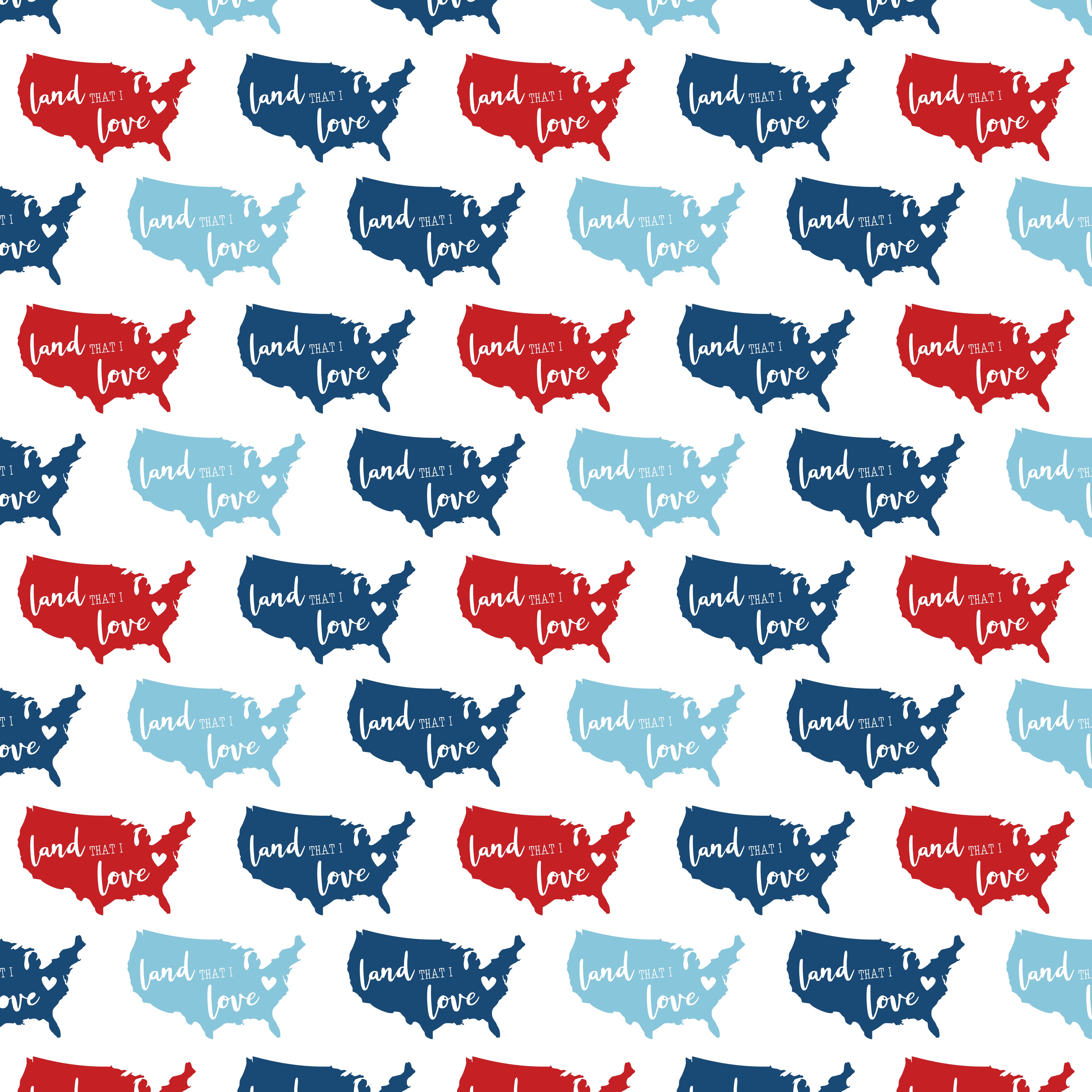 Land That I Love Pattern Vinyl 12" x 12" - The Vinyl Haus