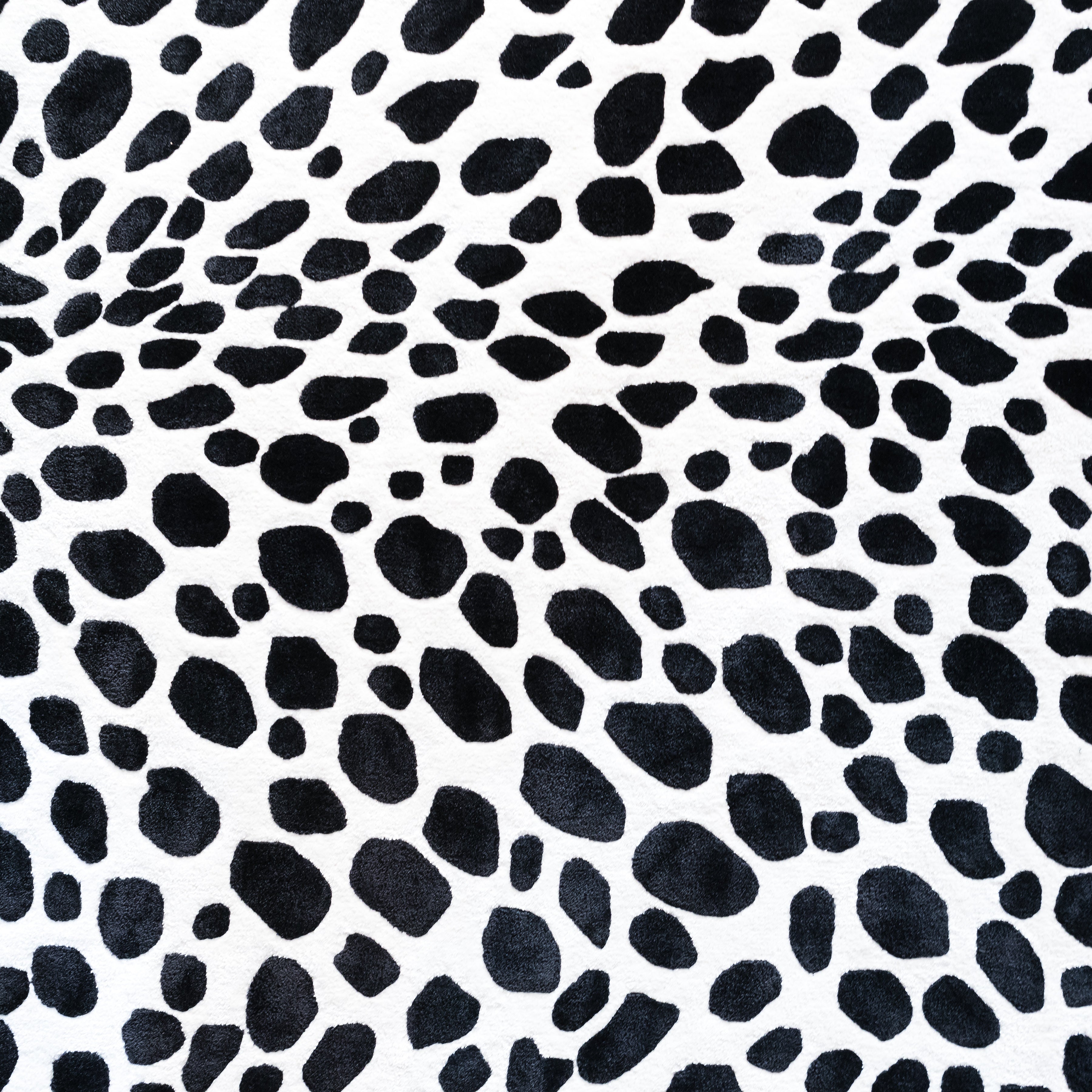 Dalmatian Spots Pattern Vinyl 12" x 12"