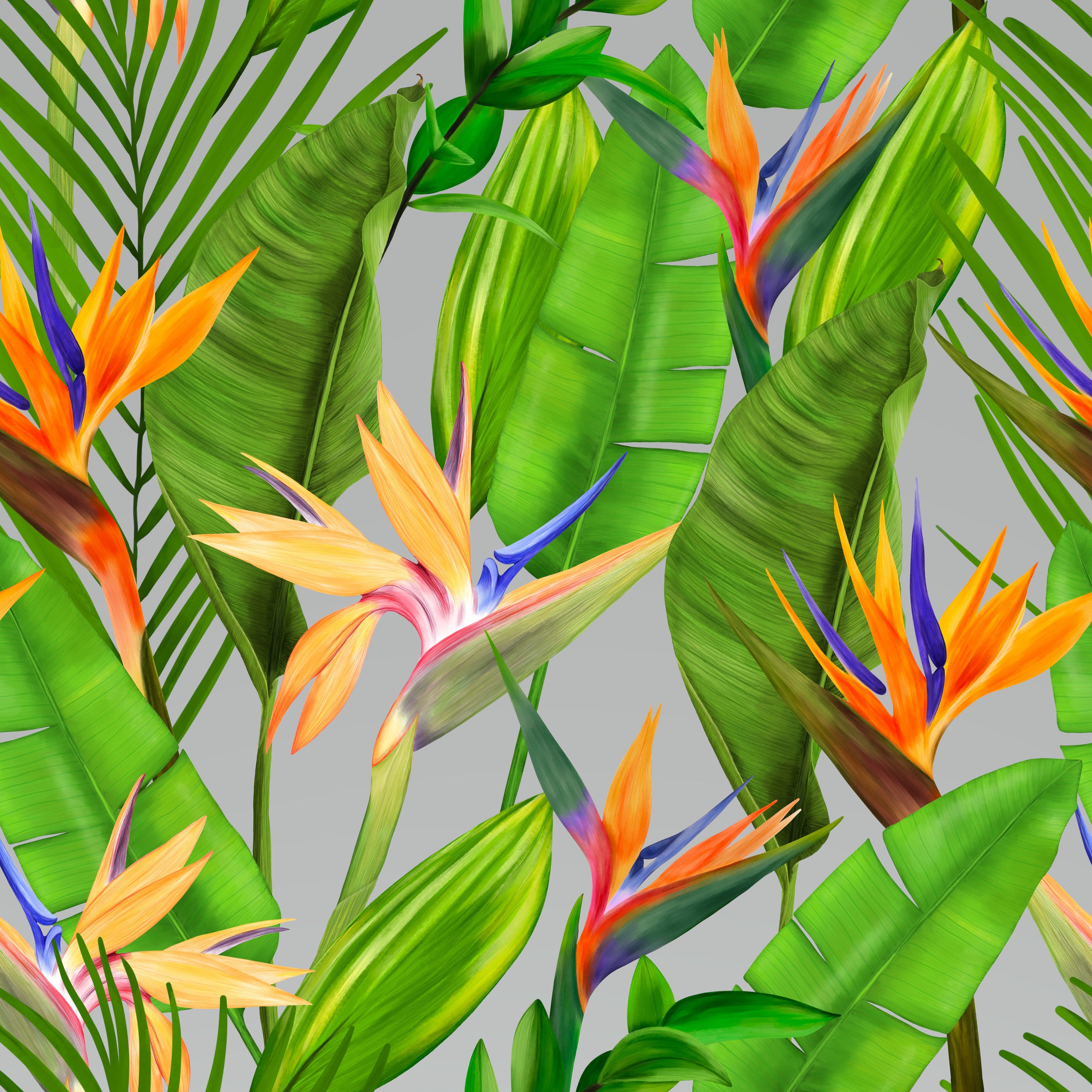 Birds of Paradise Tropical Flowers Pattern Vinyl 12" x 12" - The Vinyl Haus