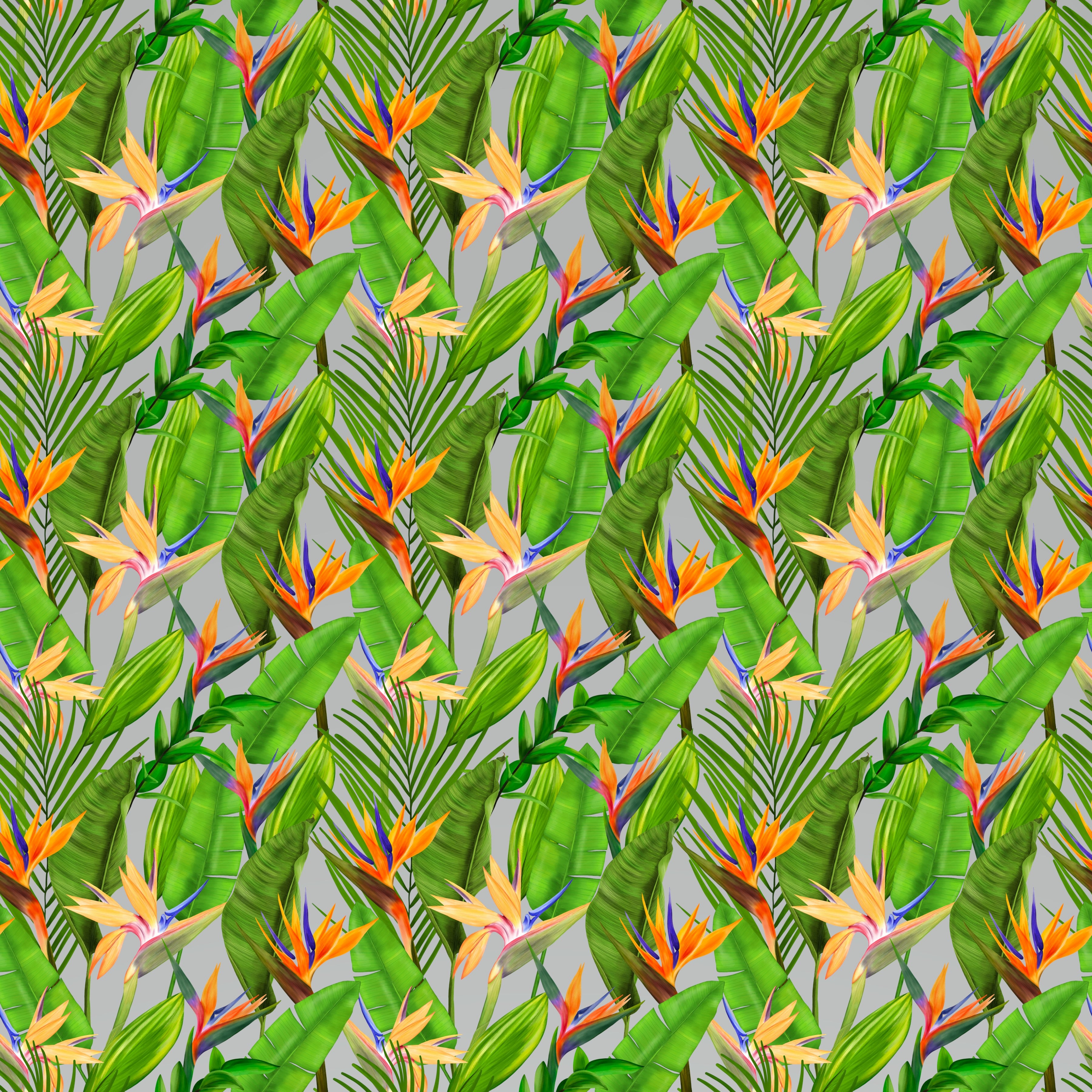 Birds of Paradise Tropical Flowers Small Pattern Vinyl 12" x 12" - The Vinyl Haus