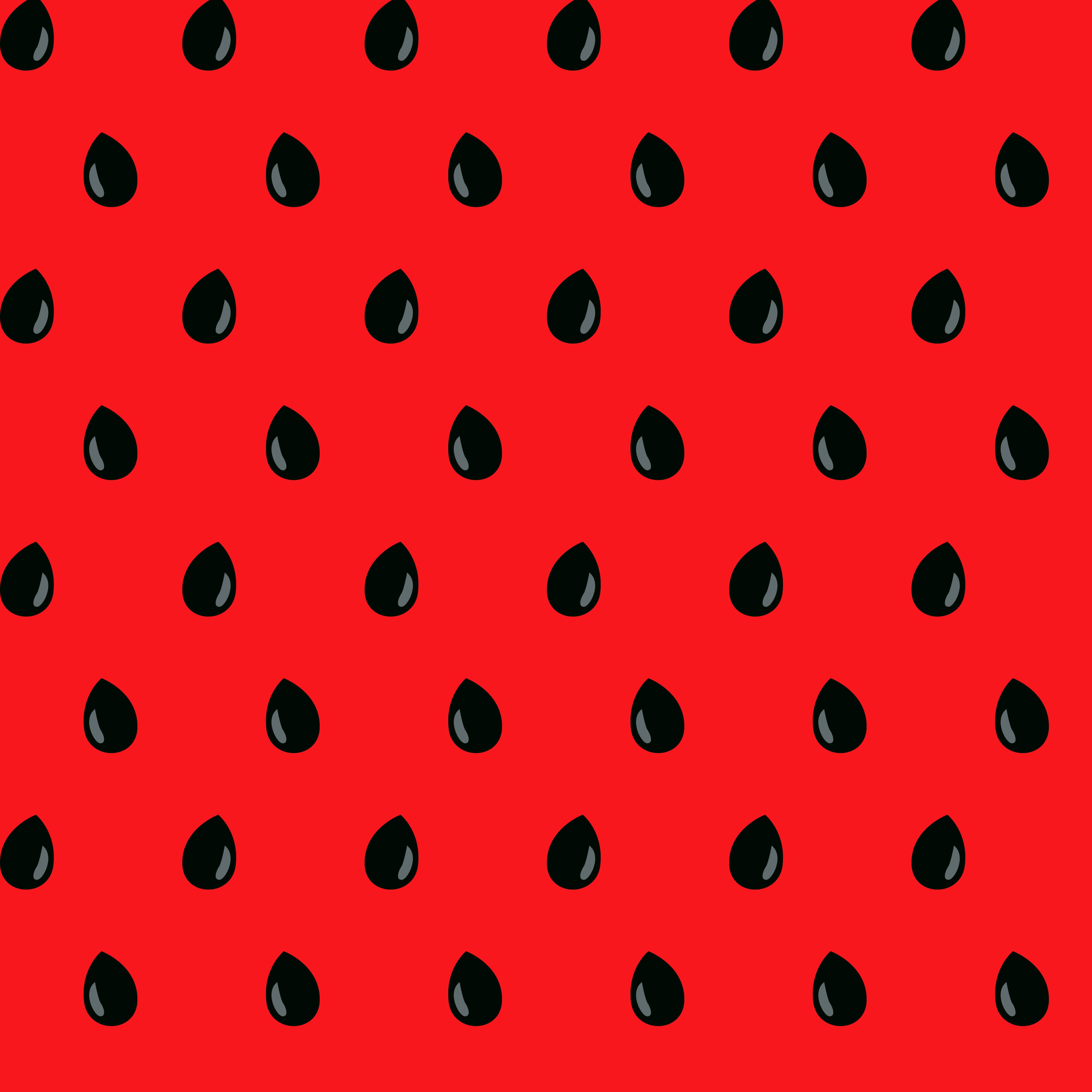 Watermelon Seeds Pattern Vinyl 12" x 9" - The Vinyl Haus
