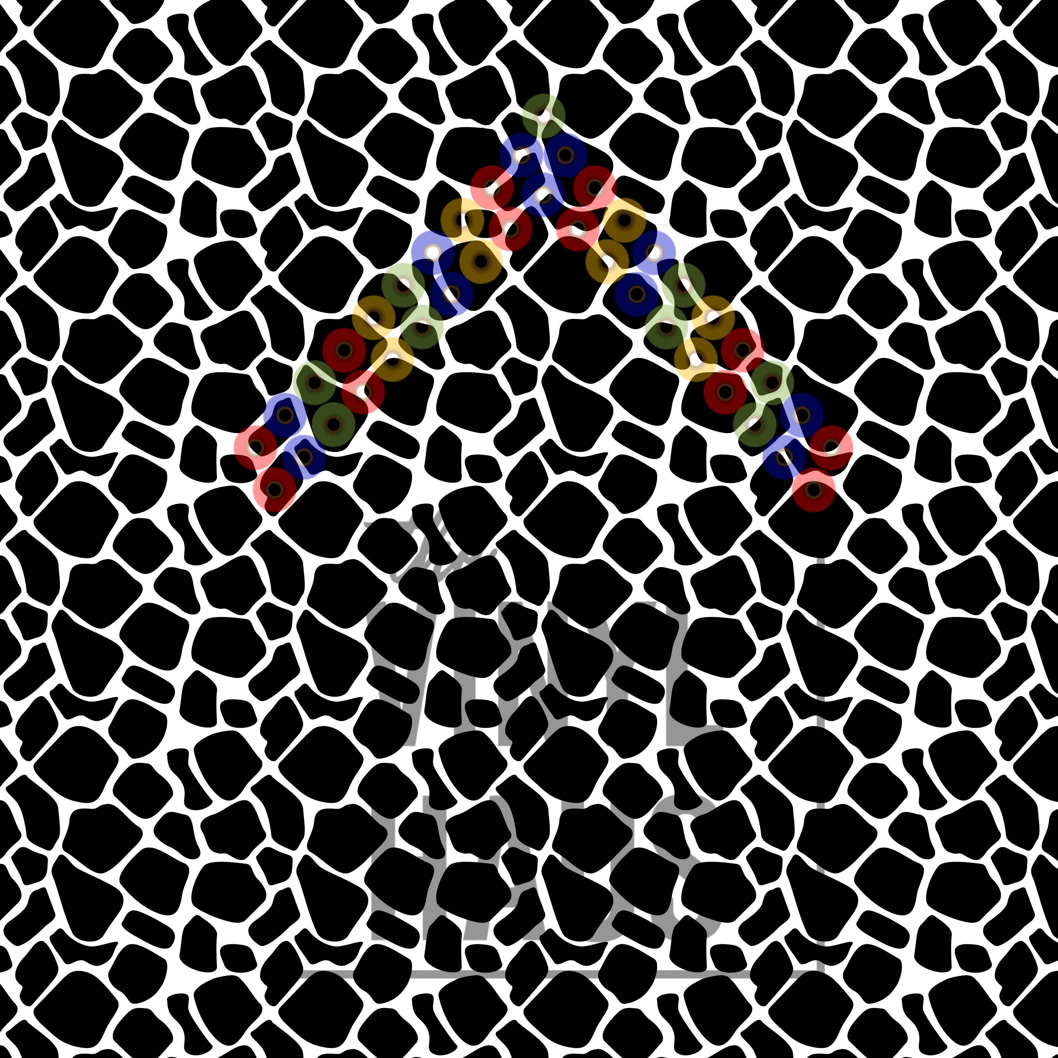 Black and White Giraffe Pattern Vinyl 12" x 9" - The Vinyl Haus