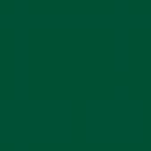 ORACAL 651 Forest Green 12" x 12" - The Vinyl Haus