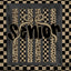 DTF PRINT - Back to School Senior Animal Pint Checkerboard Bow