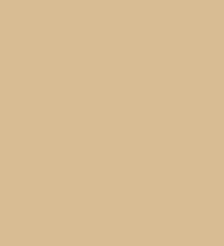 ORACAL 651 Beige 12" x 12" - Heat Transfer Haus Main image