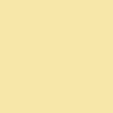 ORACAL 651 Cream 12" x 12" - The Vinyl Haus Main image