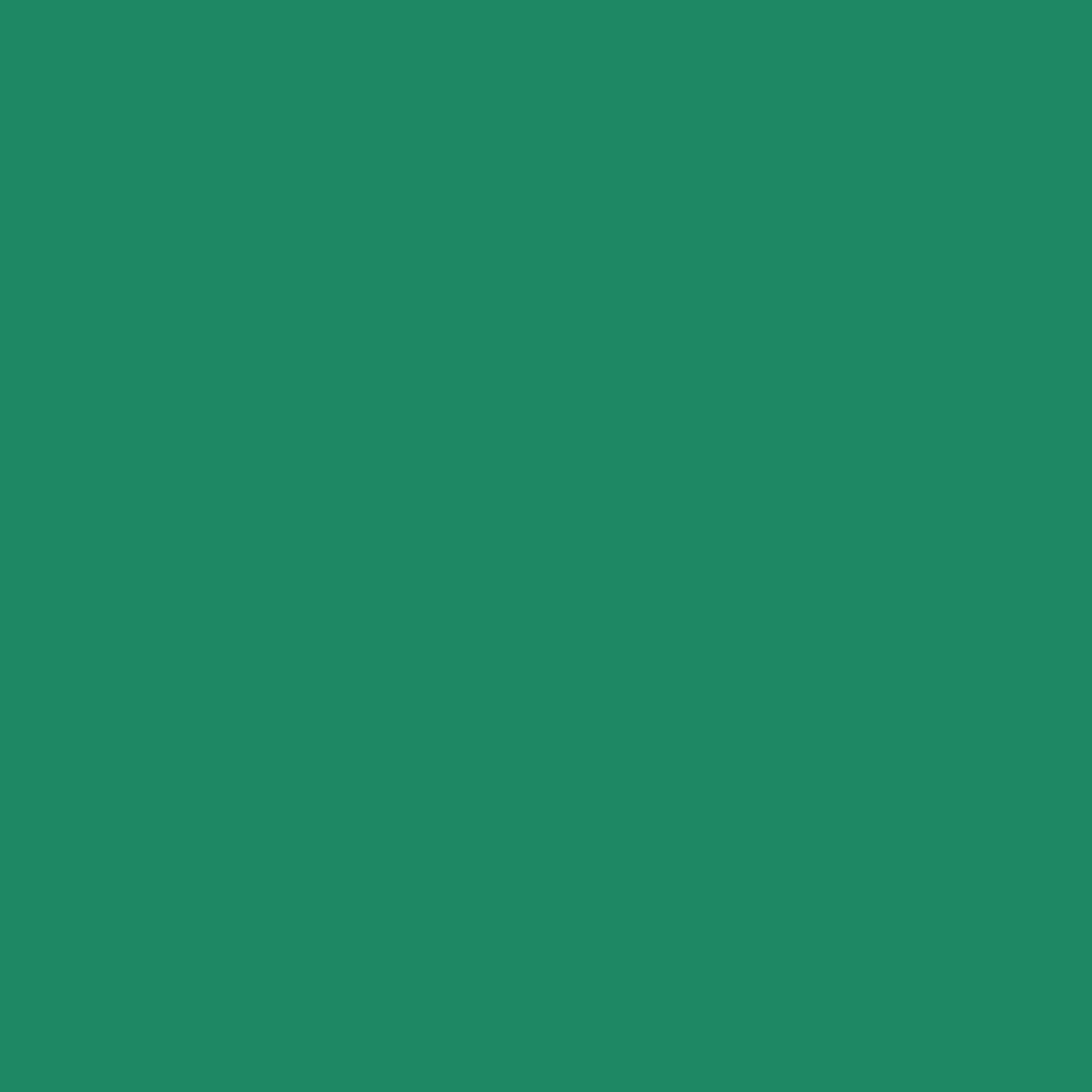 Siser EasyWeed Cadette Green 12" x 12" - Heat Transfer Haus Main image