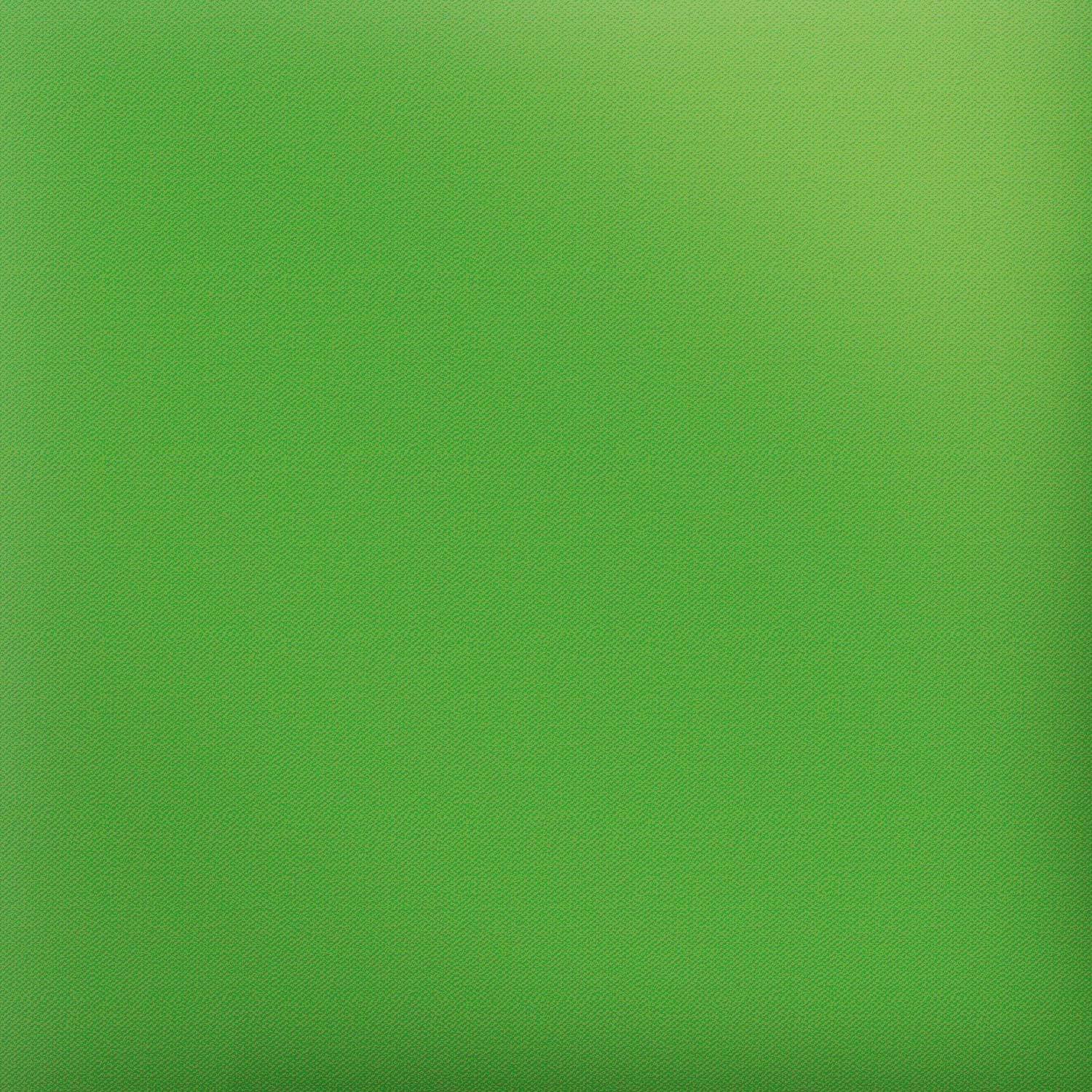 Siser Easy Puff -Apple Green - The Vinyl Haus Main image