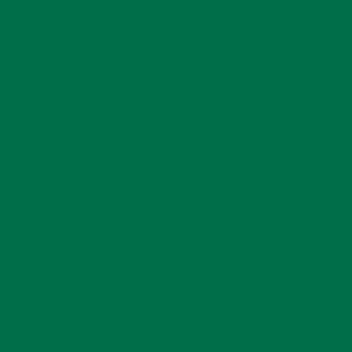 Siser EasyWeed Green 12" by the Yard - The Vinyl Haus Main image