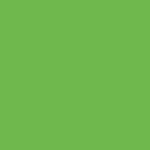 Siser EasyWeed Green Apple 12" by the Yard - The Vinyl Haus Main image