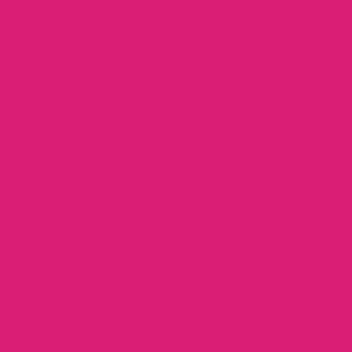 Siser EasyWeed Passion Pink 12" by the Yard - The Vinyl Haus Main image