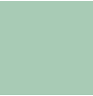Siser EasyWeed Sage 12" x 12" - The Vinyl Haus Main image