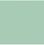 Siser EasyWeed Sage 12" x 12" - The Vinyl Haus