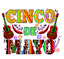 HTV Prints -Cinco De Mayo - The Vinyl Haus