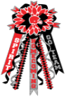HTV Prints - Red, Black, and Silver Homecoming Mum