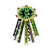 HTV- Black, Gold and Green Homecoming Mum