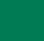 Siser EasyWeed EcoStretch Green 12" x 12"