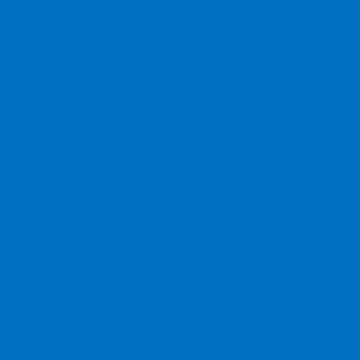 Siser EasyWeed Sky Blue 12" by the Yard - The Vinyl Haus Main image