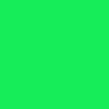 Siser EasyWeed Fluorescent Green 12" x 12" - Heat Transfer Haus Main image