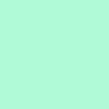 Siser EasyWeed Seafoam Green 12" x 12" - Heat Transfer Haus Main image