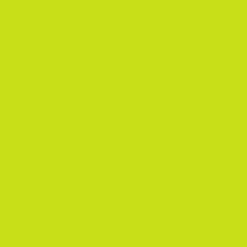 Siser EasyWeed Lime 12" x 12" - Heat Transfer Haus Main image